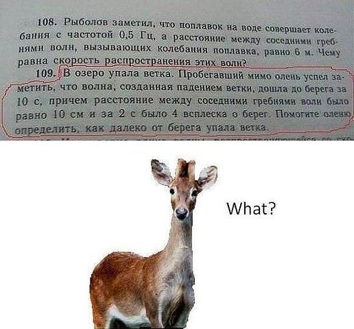 0b80ecff77c176ac17013cb3c1486879.jpg
