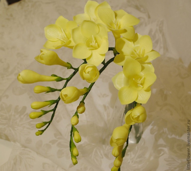 Три веточки фрезии