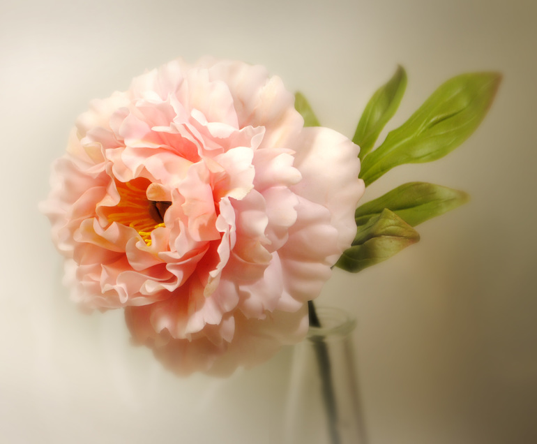 c15ffa5fa81e9fe7a5988f7f47167c24.jpg