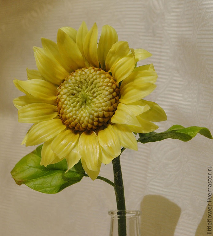 Самый солнечный цветок - Подсолнух