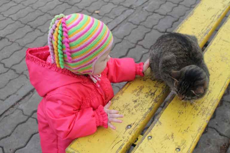 Шапочка на осень