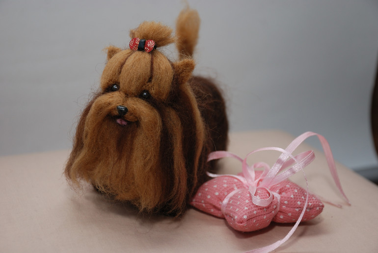 Милашка Зи-зи ищет хозяев!!!