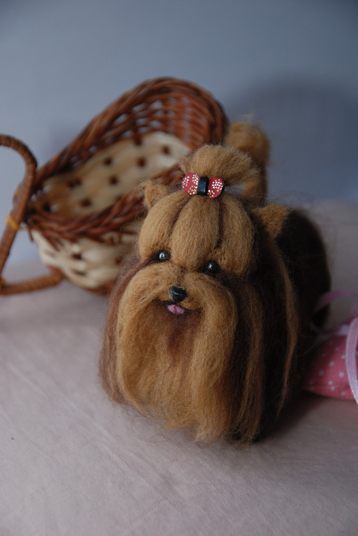 Милашка Зи-зи ищет хозяев!!!