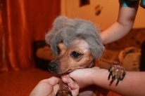 Наша Стася)