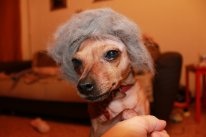 Наша Стася)