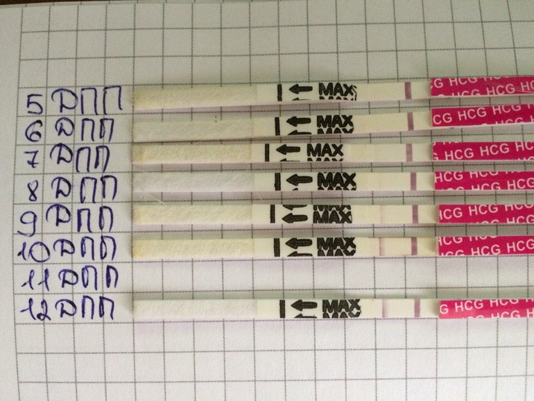 Криоперенос 5 дневных. Тесты после эко. Тесты по дням после подсадки. Тесты после криопереноса. После криопереноса по дням.