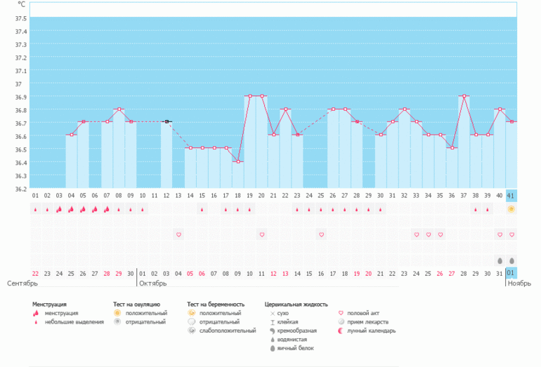 Караул, что это?