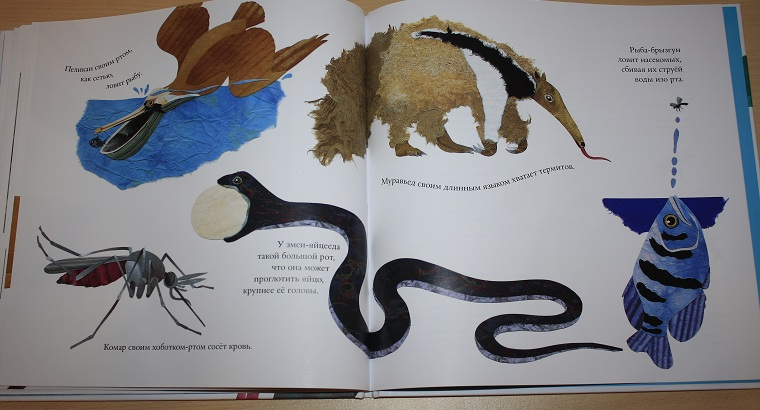 Про не только хвосты, носы и уши ))