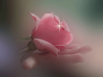 b6a52ec6a51bc846e8fbf53855e438d4.gif