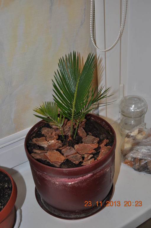 Новенькая в ваших рядах ))) Хвалюсь и жалуюсь