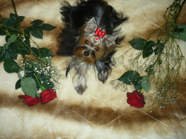 А у нас пополение)))