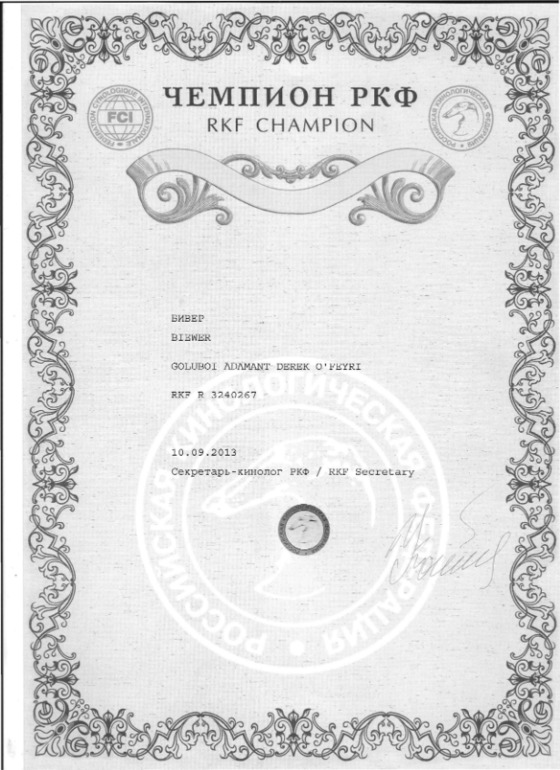 Моей Шерри сегодня пол года!