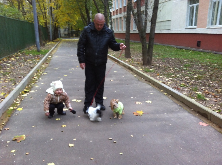 Ариша заболела(