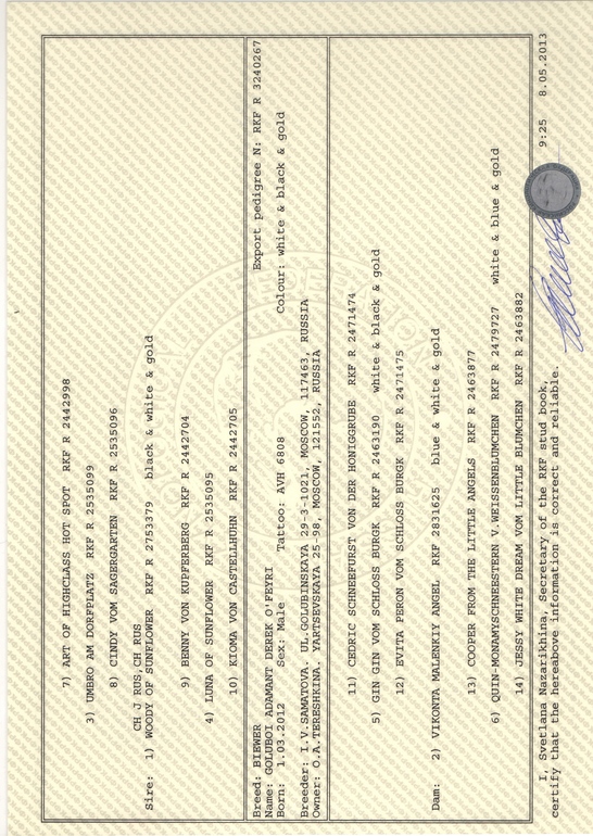 Моей Шерри сегодня пол года!