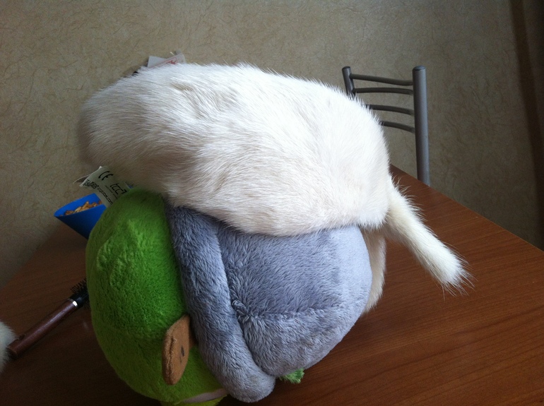 меховые повязки норка -хорь