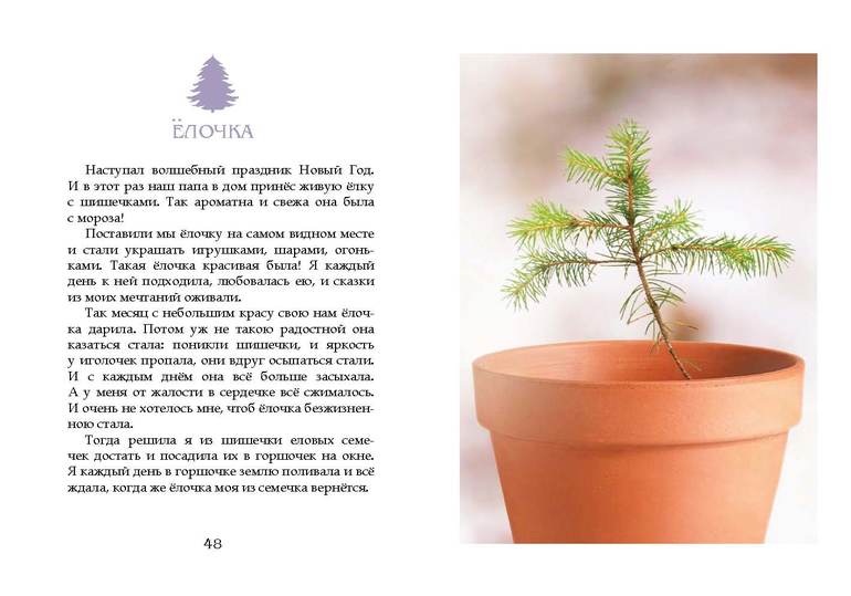 Ещё одна Новогодняя история :)