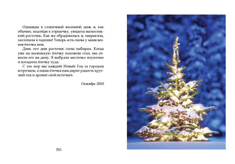 Ещё одна Новогодняя история :)