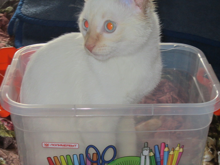 Наш выбражалка. Только фото.Много фото.