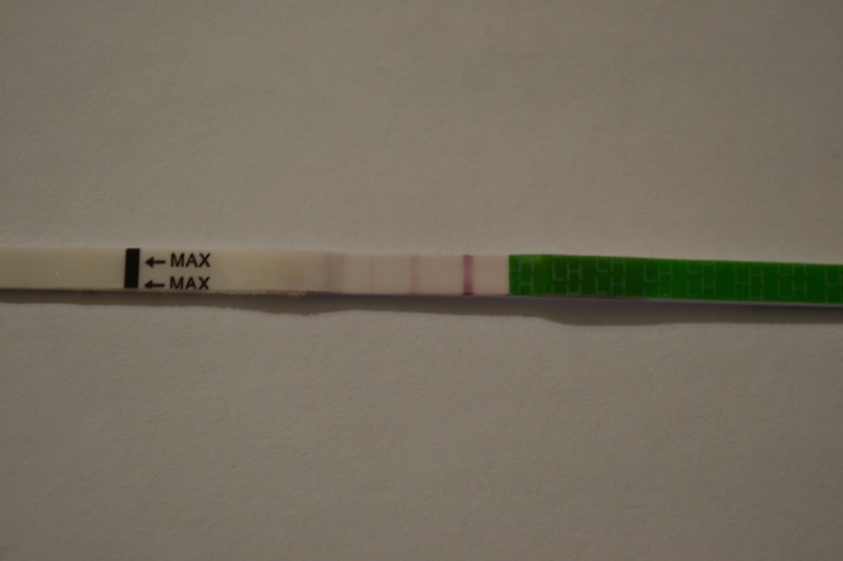 Дорогие хочушечки может ли такой тест на овуляцию говорит о беременности.