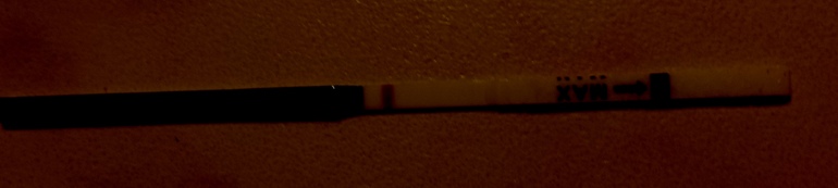 12 ДПО, что имеем...