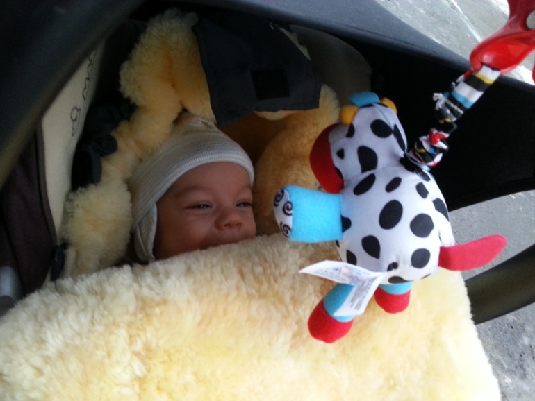 Меховые конверты Monsito