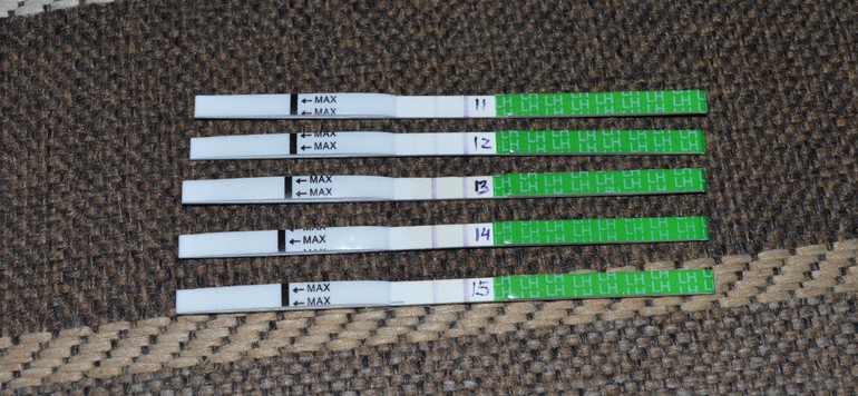 надеюсь поймала!)