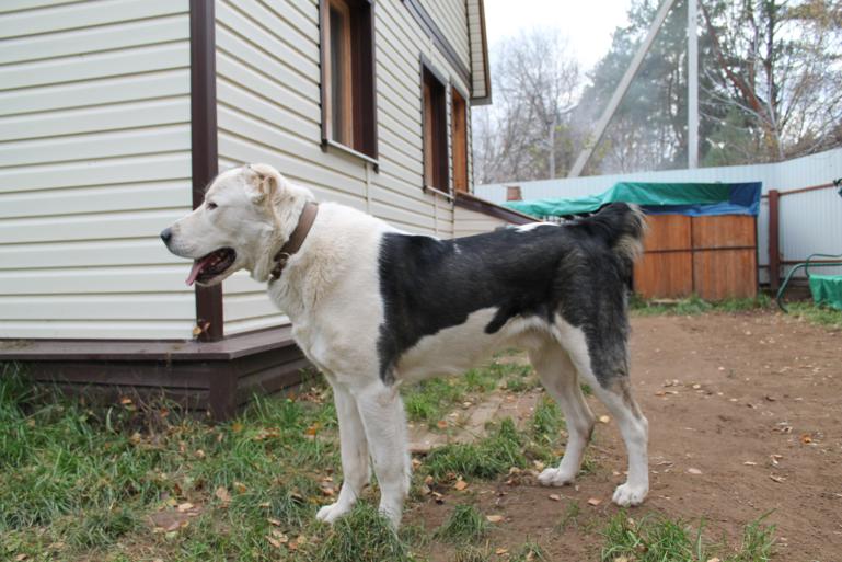 Малышу 1 годик и 10 месяцев=)Растёмс.....