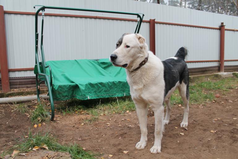 Малышу 1 годик и 10 месяцев=)Растёмс.....