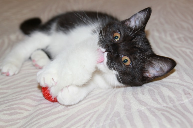 Давайте знакомится))