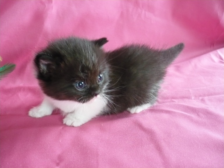 Давайте знакомится))