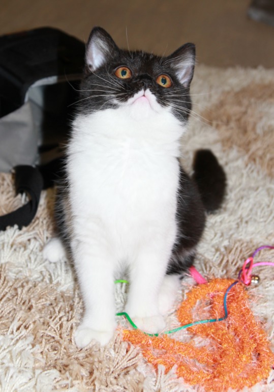 Давайте знакомится))