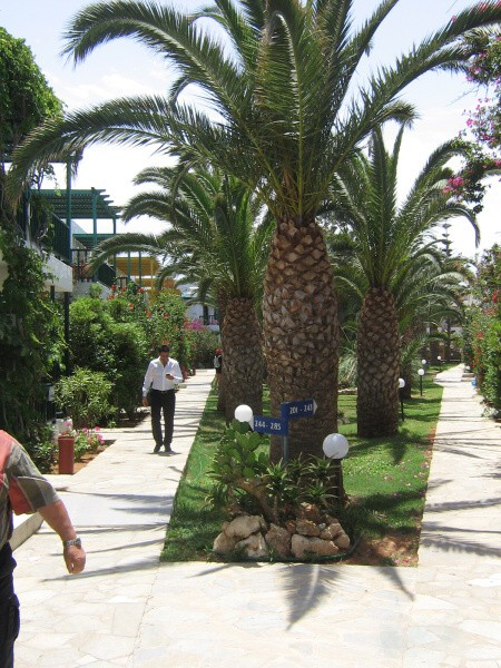 Греция, Крит. Stella Village 4*.