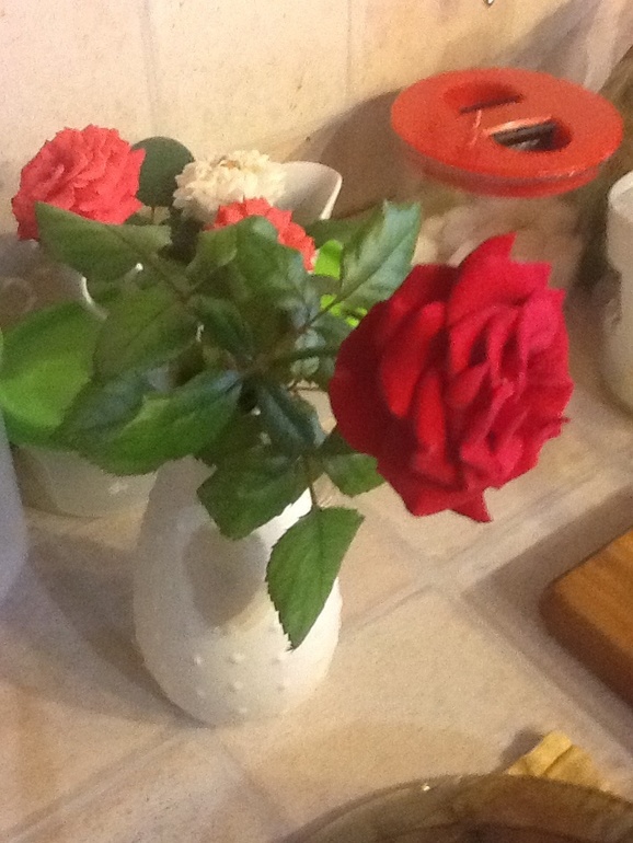 мои цветочки украшают кухню