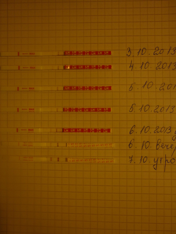 Девочки помогите и подскажите!!!