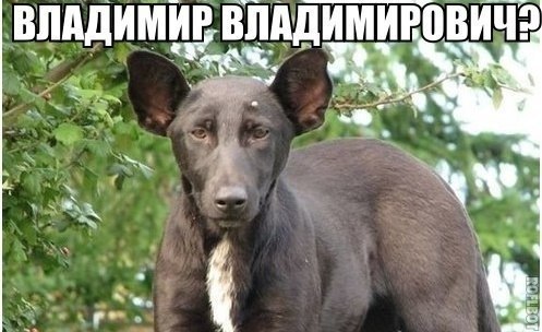 Минутка улыбки)6 шт.