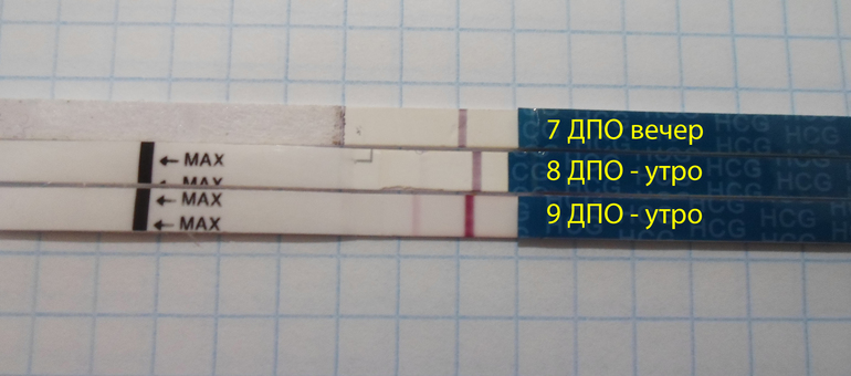 Тест на беременность на 5 день после овуляции