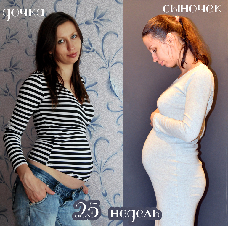 24 неделя беременности от зачатия