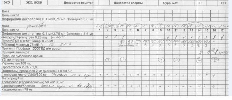 Сколько длится протокол эко по дням схема короткий