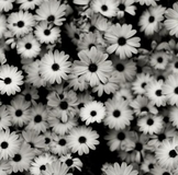 Море обуви от ~С*Б*С~