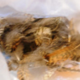 Большой расхомяк. Много фото