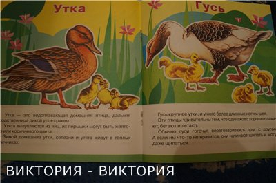Мини-энциклопедии 2
