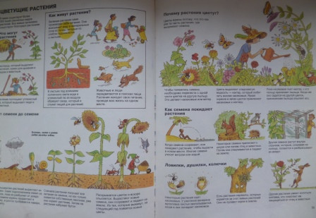 Книги из библиотеки 6
