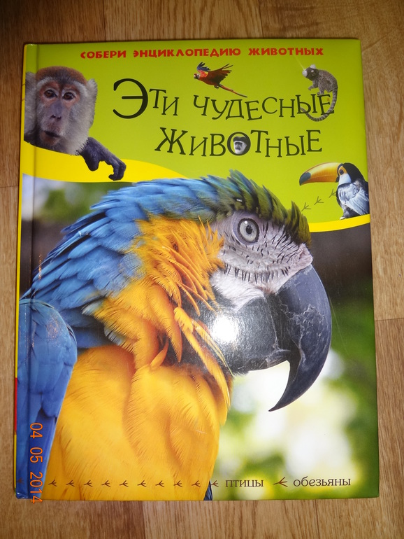 Как мы читаем в 2г 1м