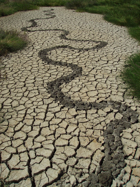 Land Art