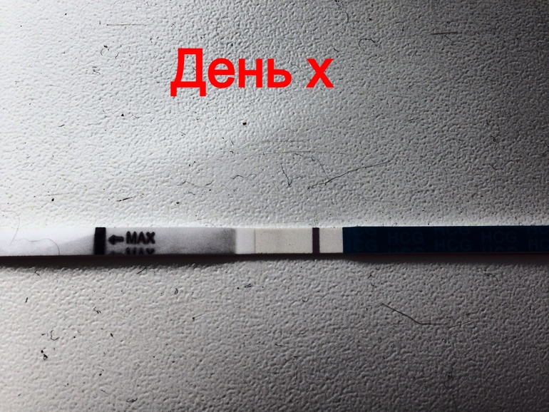 bcbabad2747c0dc5d2556b870f0c8c6b.jpg