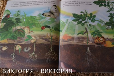 67be2212077b23b34149b8d28bb7cebc.jpg