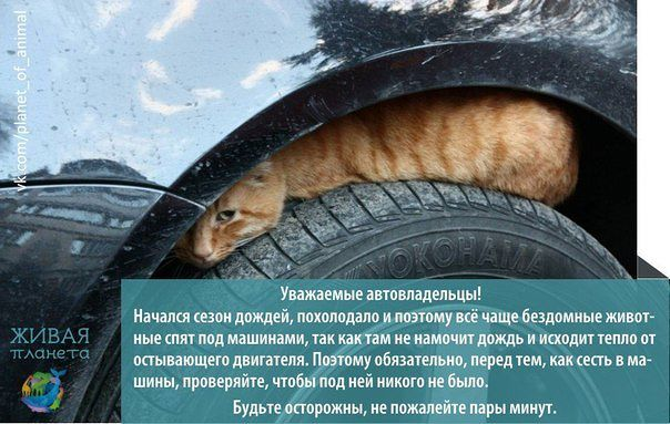 Вот, я сегодня чуть было
