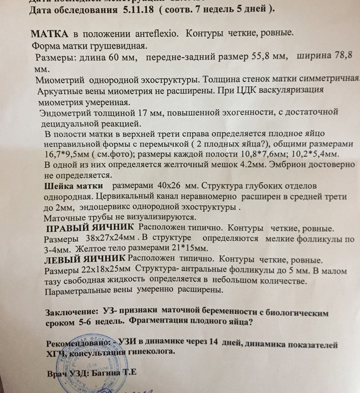 ПЯ с перегородкой. Ктото встречался с таким явлением