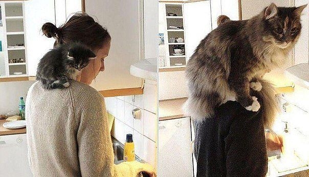 Время улыбнуться.