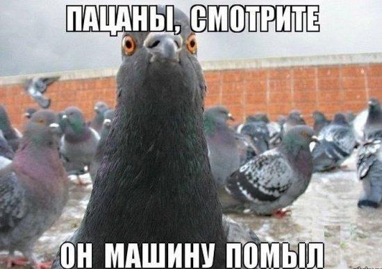 Улыбайся, улыбайся...)))